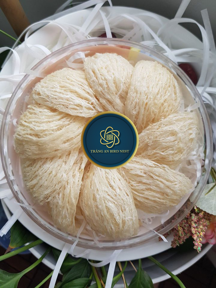 yến sào rút lông thượng hạng