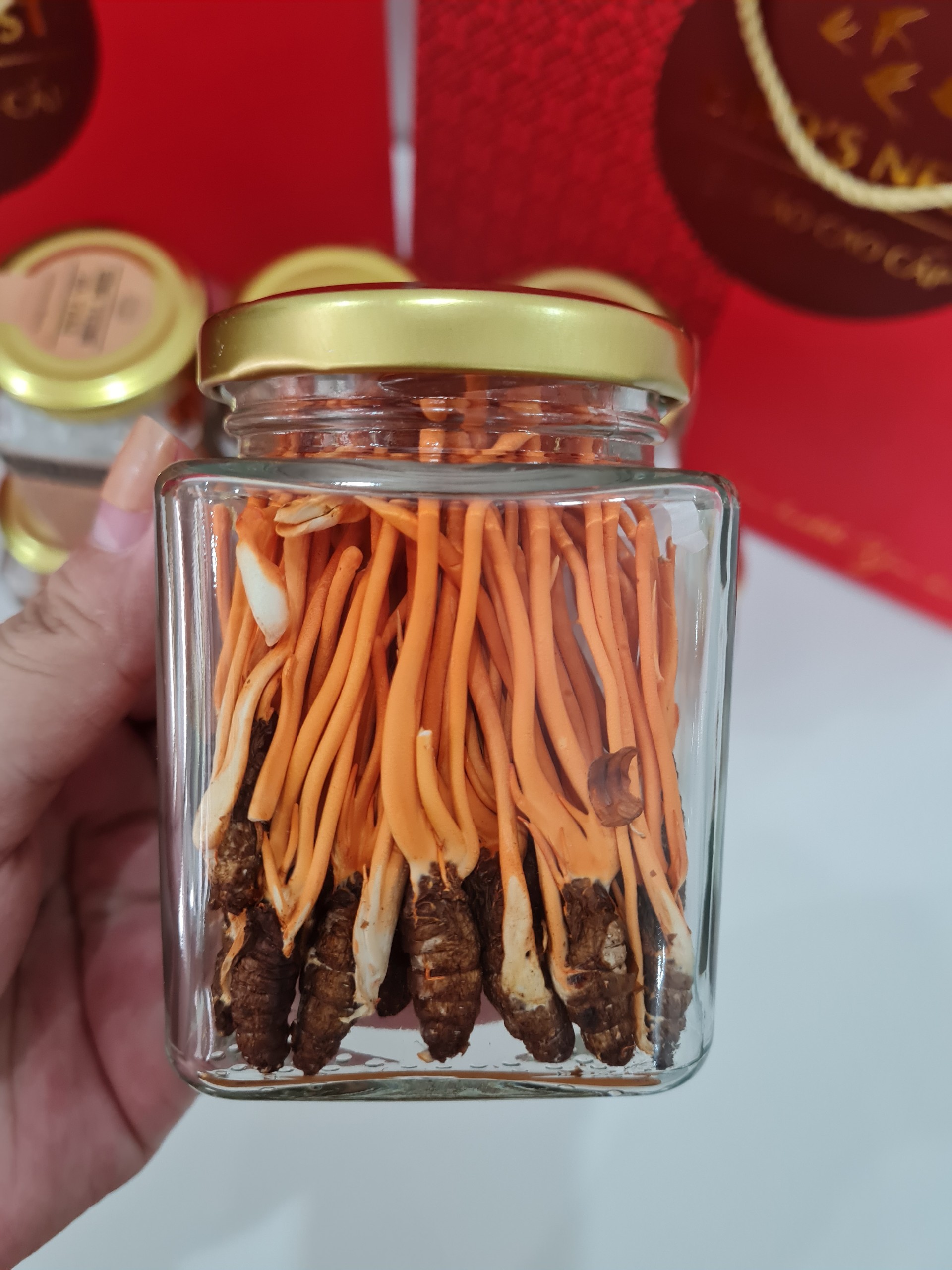 đông trùng hạ thảo nhộng khô2