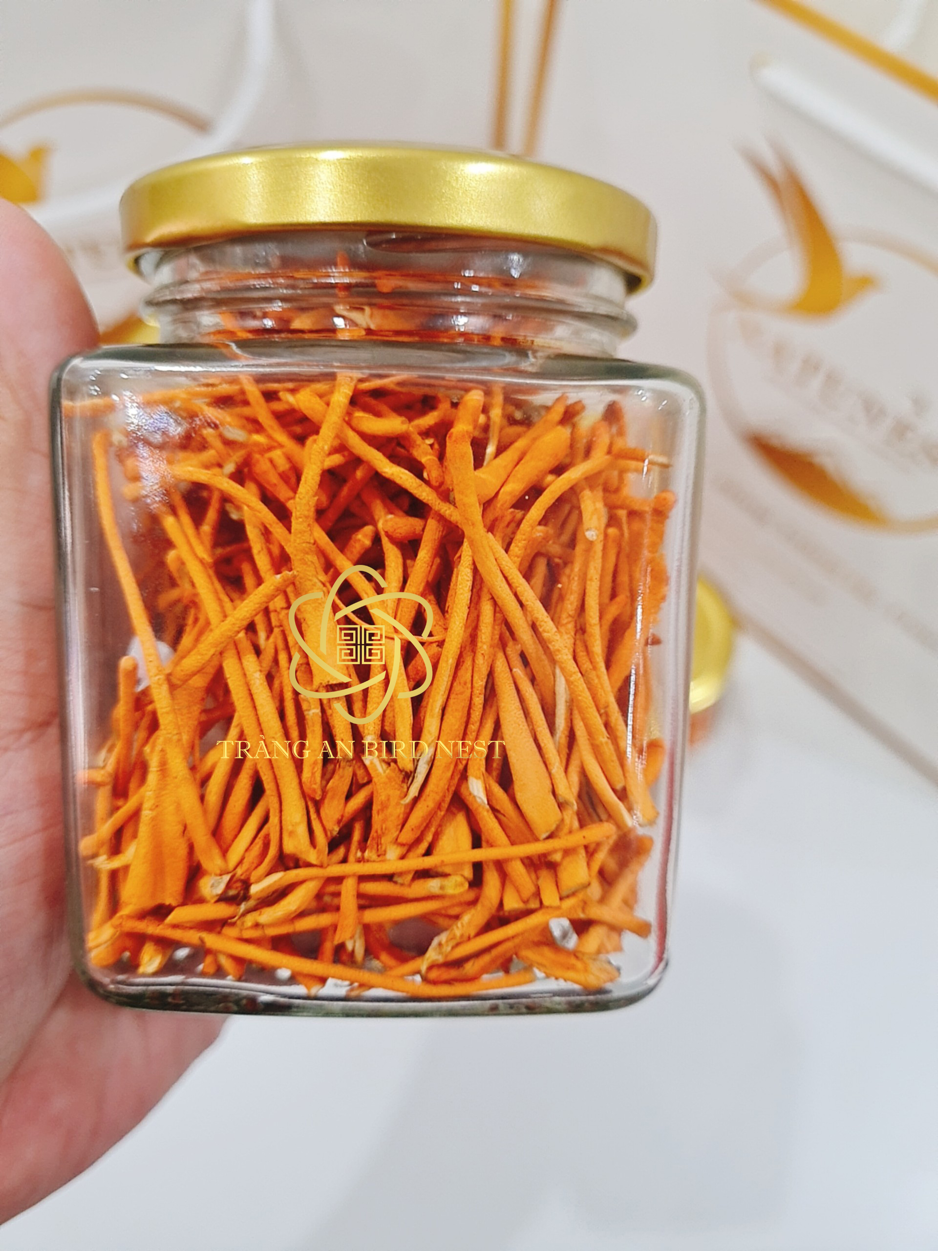 đông trùng hạ thảo việt nam 1