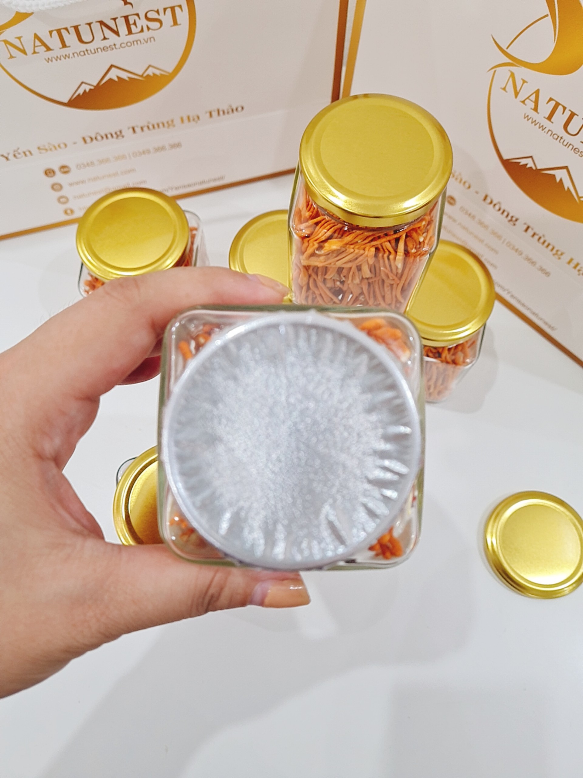 đông trùng hạ thảo việt nam4
