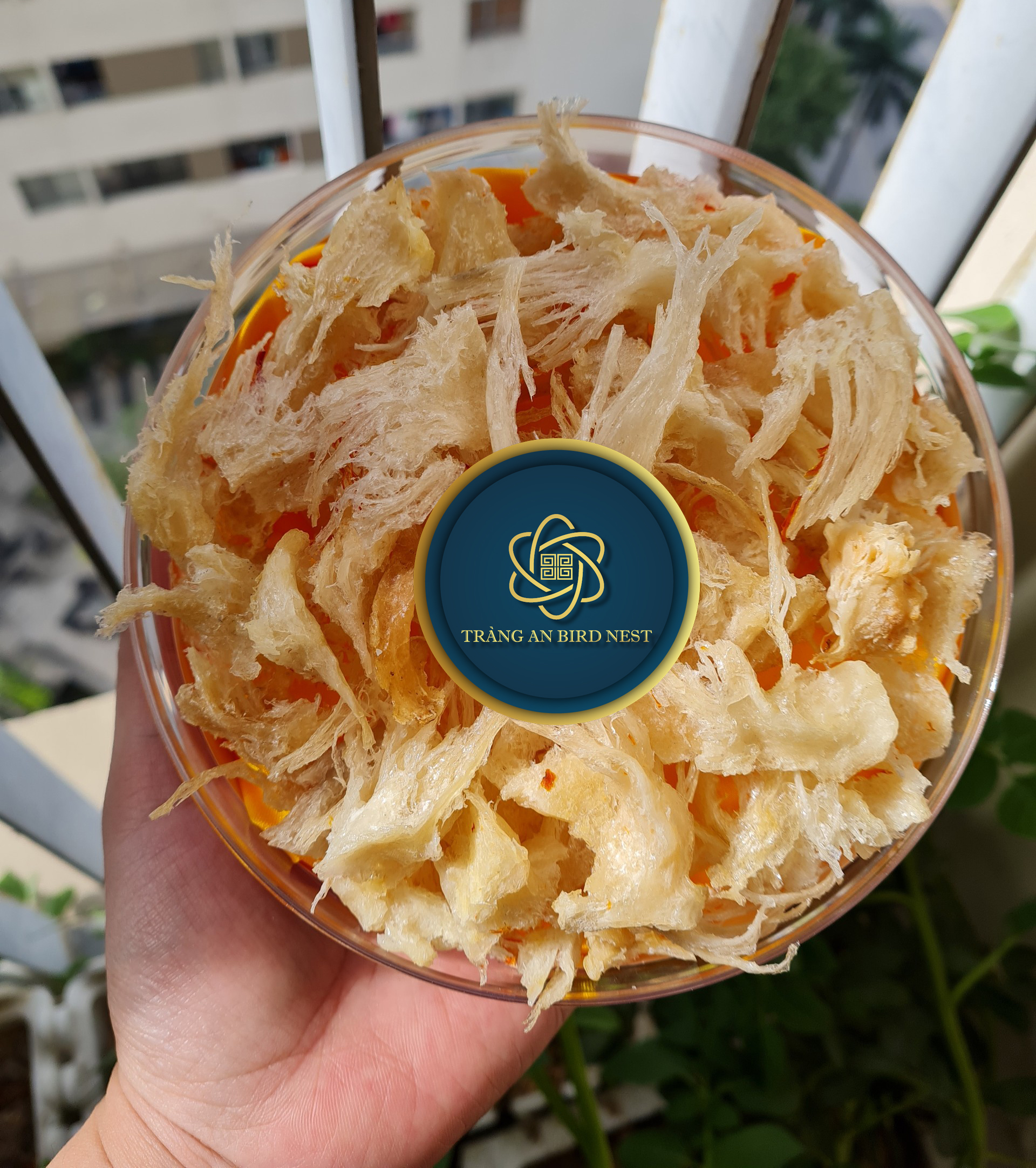 yến sào khánh hòa đặc biệt - chân yến đá rút lông