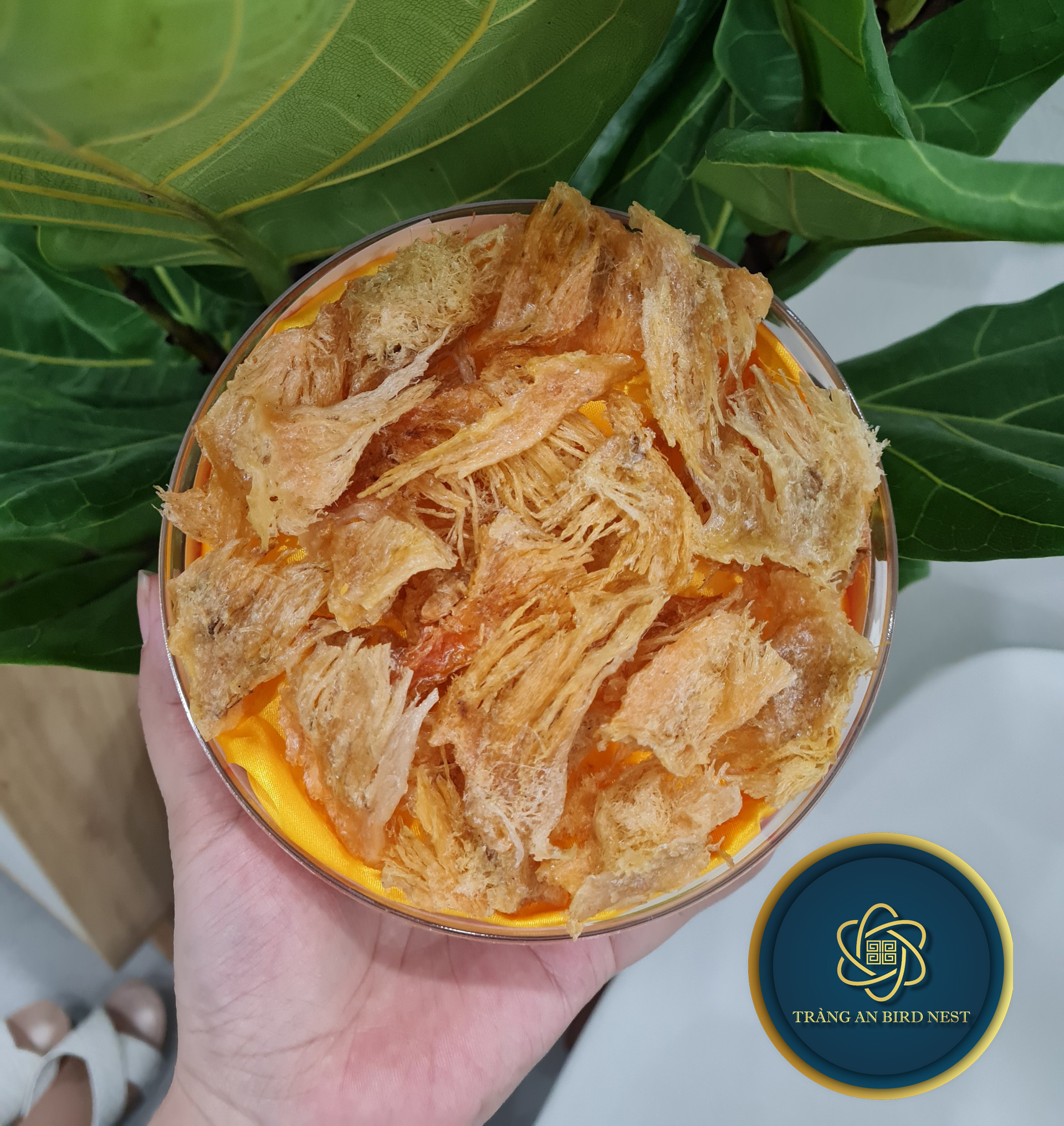 yến sào khánh hòa đặc biệt - chân yến đá rút lông 2