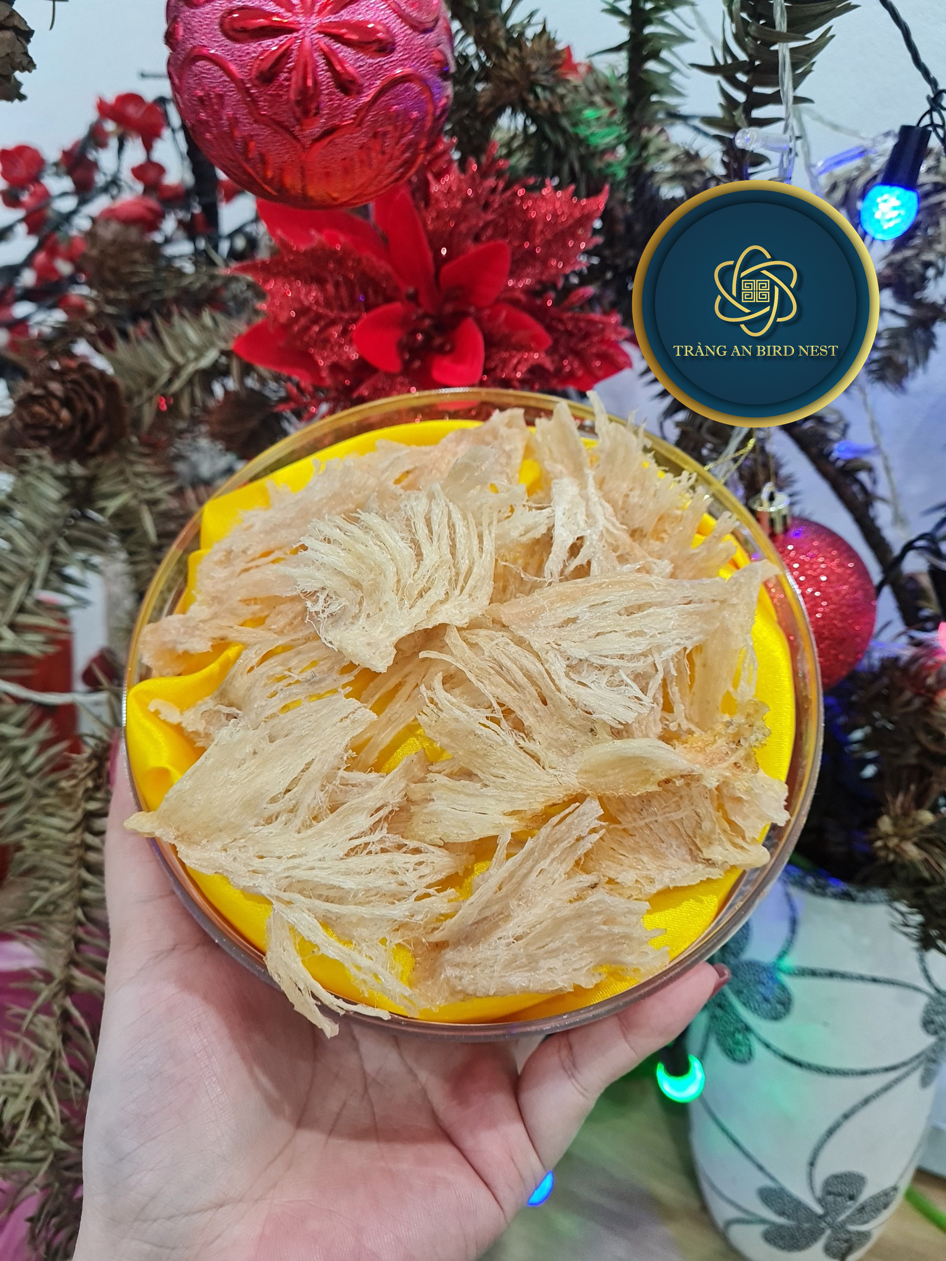 yến sào khánh hòa đặc biệt - chân yến đá rút lông 7
