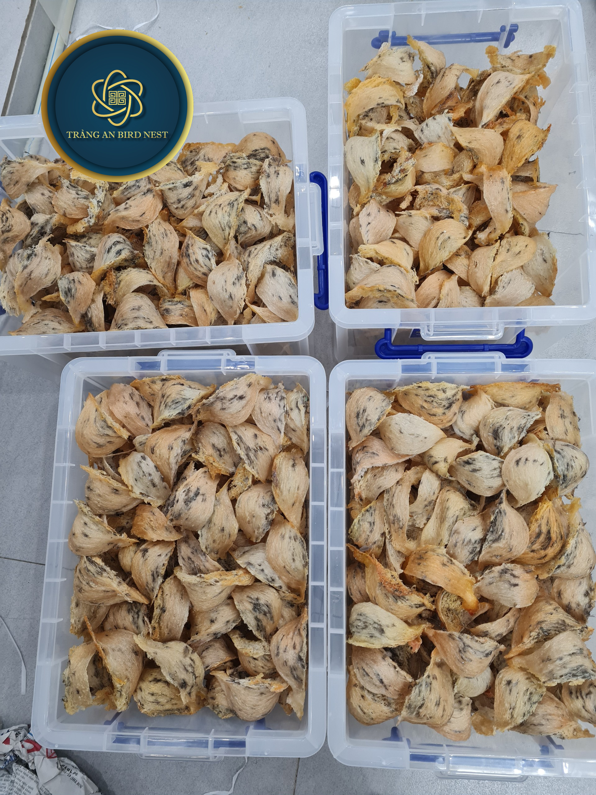 yến sào thượng hạng khánh hòa - yến đá thô 4