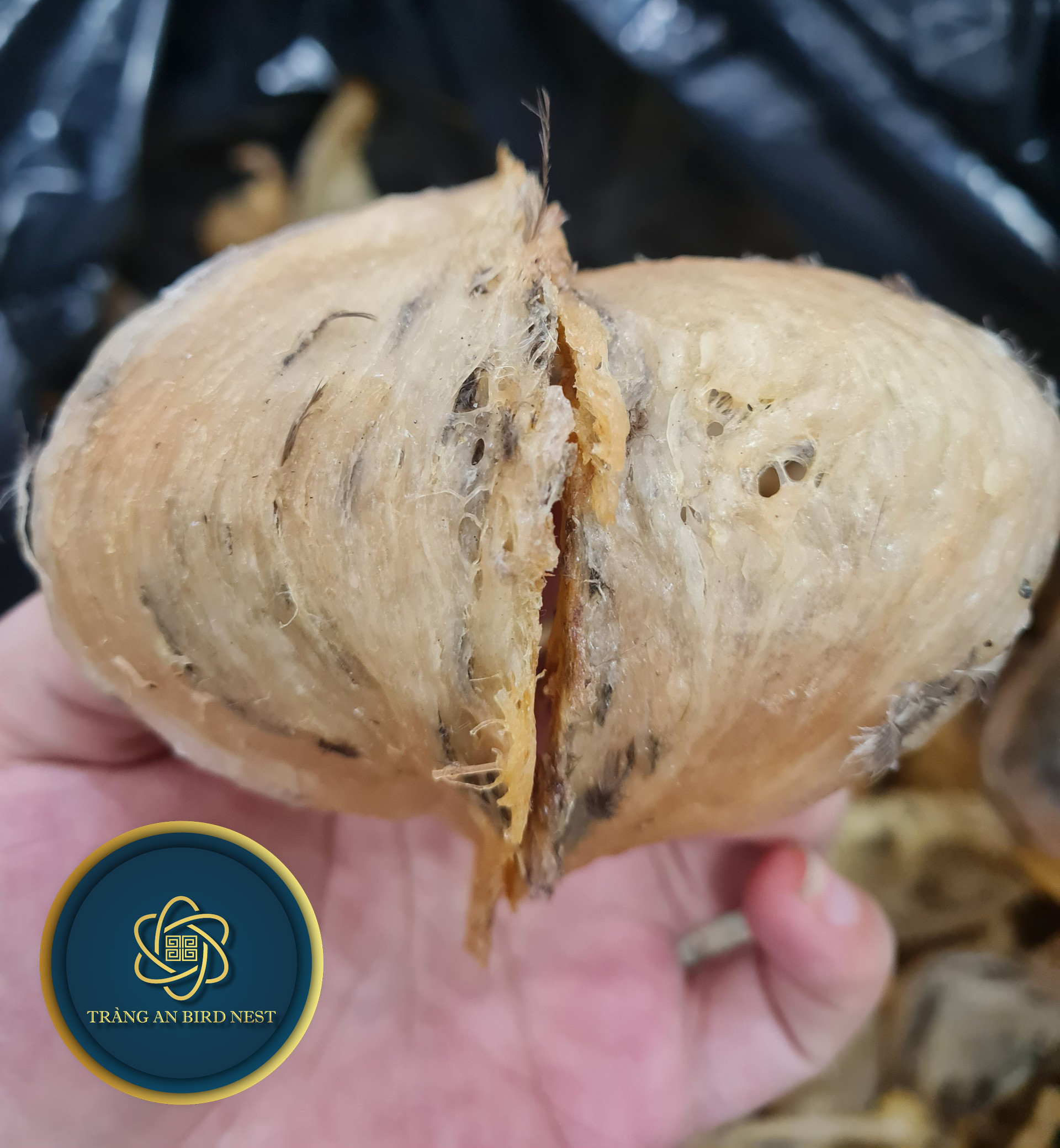 yến sào thượng hạng khánh hòa - yến đá thô 5